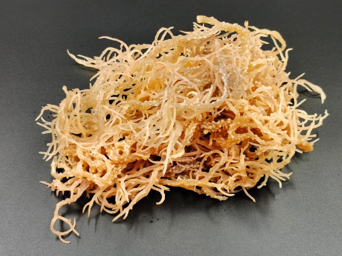 Dried Seaweed